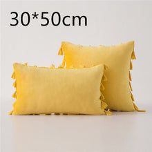 Load image into Gallery viewer, Tassel velvet sofa pillowcase
