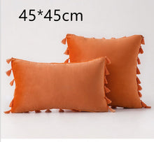 Load image into Gallery viewer, Tassel velvet sofa pillowcase