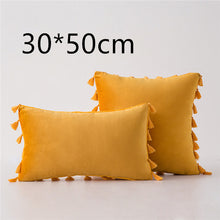 Load image into Gallery viewer, Tassel velvet sofa pillowcase