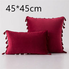 Load image into Gallery viewer, Tassel velvet sofa pillowcase