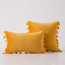 Load image into Gallery viewer, Tassel velvet sofa pillowcase