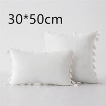 Load image into Gallery viewer, Tassel velvet sofa pillowcase