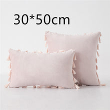 Load image into Gallery viewer, Tassel velvet sofa pillowcase