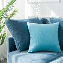 Load image into Gallery viewer, Simple square velvet pillowcase