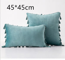Load image into Gallery viewer, Tassel velvet sofa pillowcase