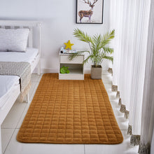 Load image into Gallery viewer, Solid Color Coral Velvet Embroidered Carpet
