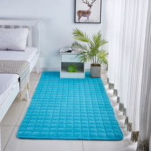 Load image into Gallery viewer, Solid Color Coral Velvet Embroidered Carpet
