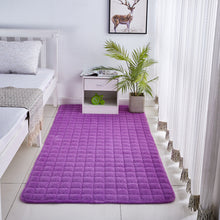 Load image into Gallery viewer, Solid Color Coral Velvet Embroidered Carpet
