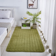 Load image into Gallery viewer, Solid Color Coral Velvet Embroidered Carpet
