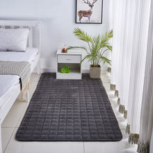 Load image into Gallery viewer, Solid Color Coral Velvet Embroidered Carpet
