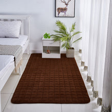 Load image into Gallery viewer, Solid Color Coral Velvet Embroidered Carpet
