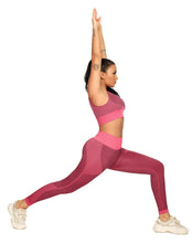Load image into Gallery viewer, Yoga Set 2 Piece Women Tracksuit Fitness Suit Bra
